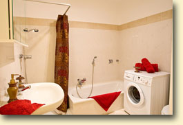 Bathroom in the Thalia Suite with wash machine, separate shower and bathtub
